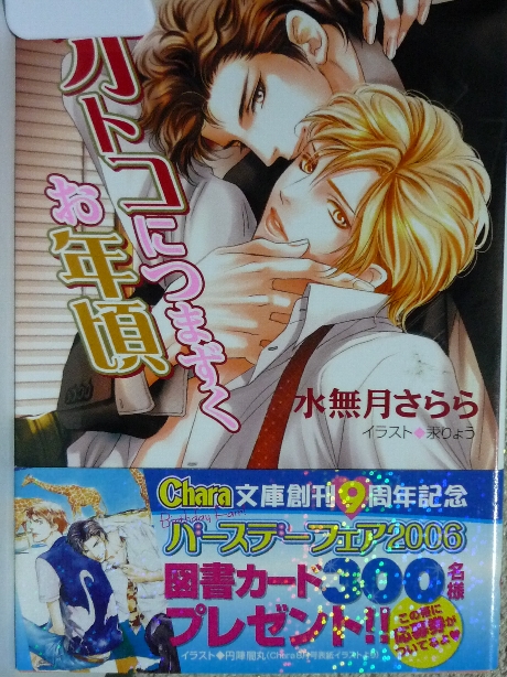 オトコにつまずくお年頃　水無月さらら(著)